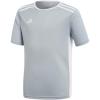 Light Grey/White