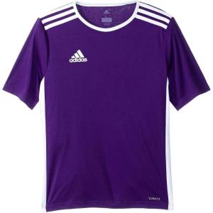 adidas Boy’s Entrada 18 Jersey(Collegiate Purple)