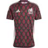 Multicolor Home 2024