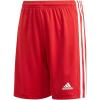 Team Power Red/White