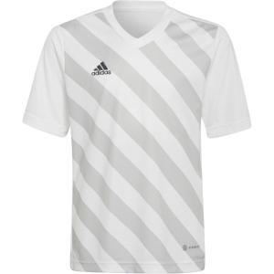 adidas Kids’ Entrada 22 Graphic Jersey(White/Team Light Grey)