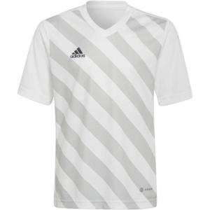 adidas Kids’ Entrada 22 Graphic Jersey(White/Tmlggr)
