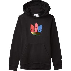 adidas Originals Unisex-Child 3D Hoodie(Black/Multicolor)