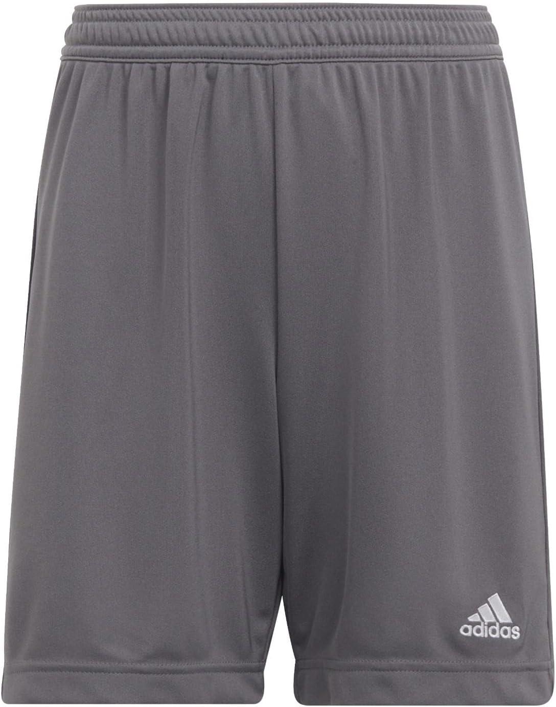 imageadidas Kids Entrada 22 ShortsTeam Grey Four