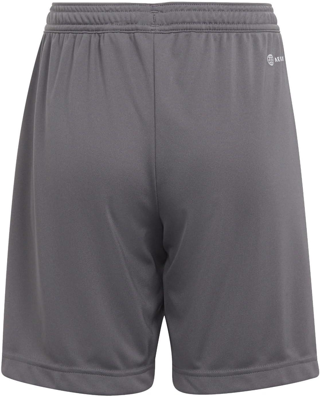imageadidas Kids Entrada 22 ShortsTeam Grey Four