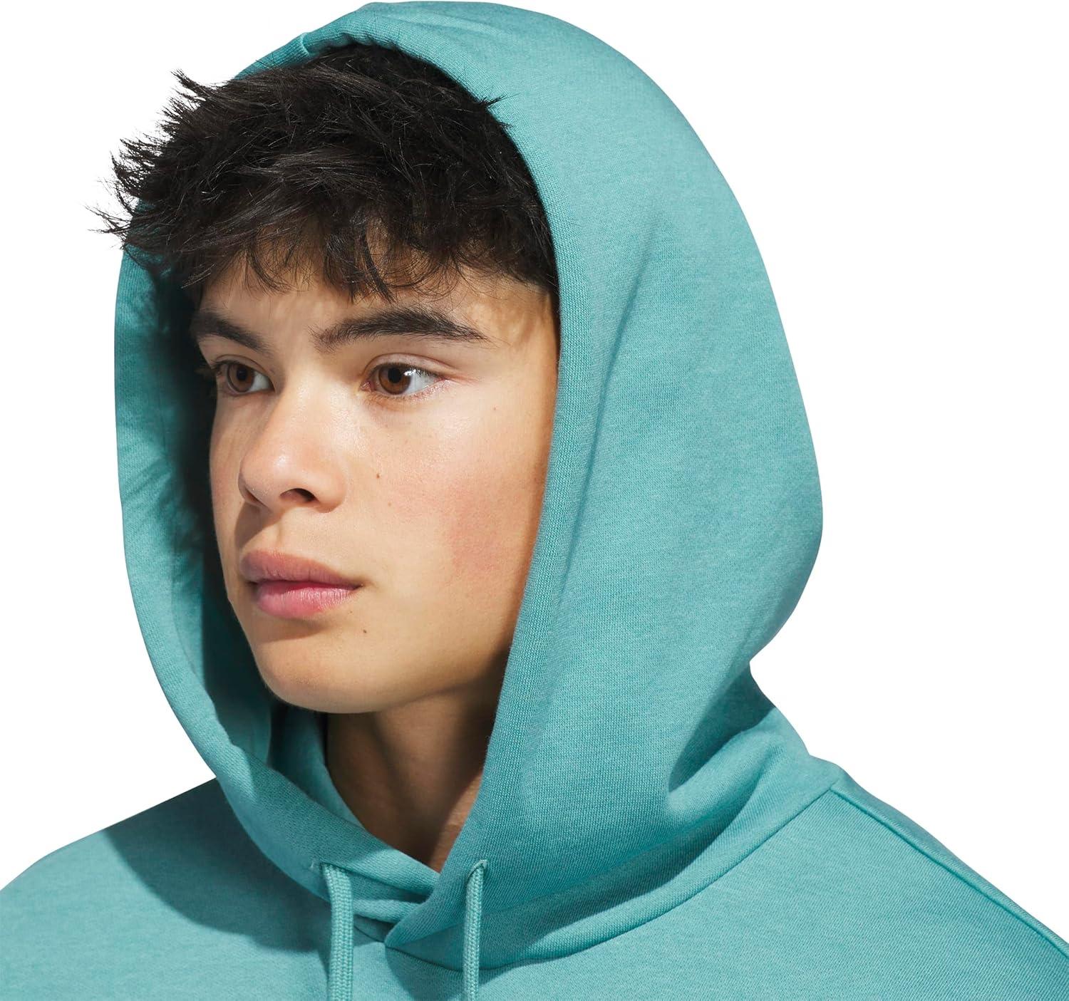 imageadidas mens Big Logo Graphic HoodiePowder TealGrey