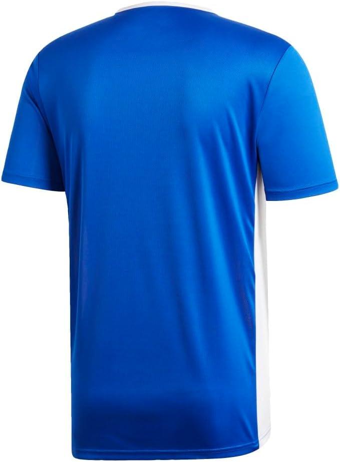 imageadidas Mens Short ENTRADA 18 JSYBold Blue