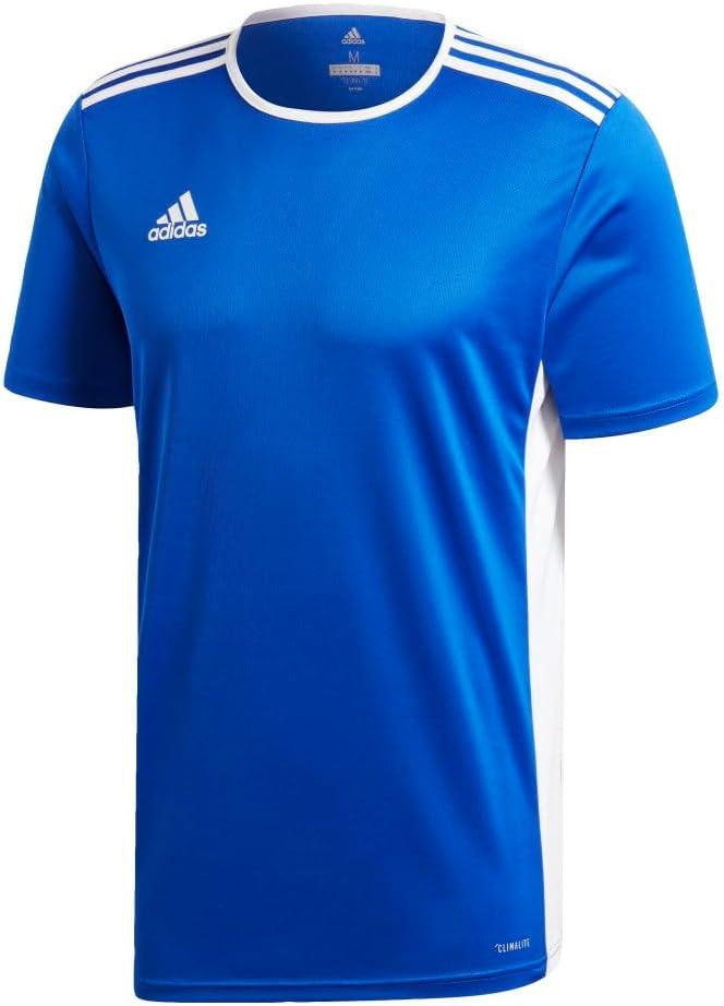 imageadidas Mens Short ENTRADA 18 JSYBold Blue