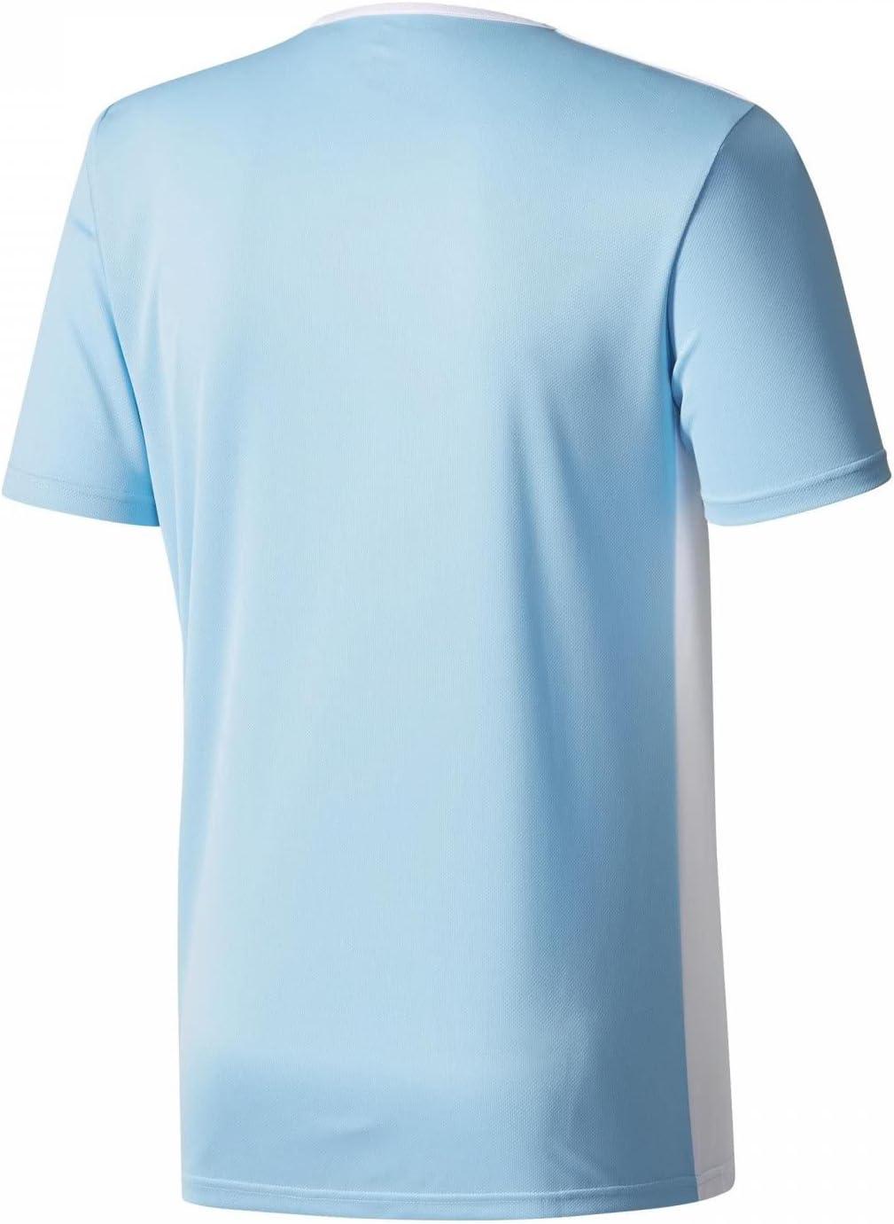 imageadidas Mens Short ENTRADA 18 JSYClear BlueWhite