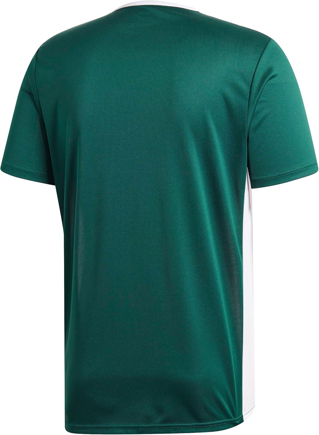 imageadidas Mens Short ENTRADA 18 JSYCollegiate Green