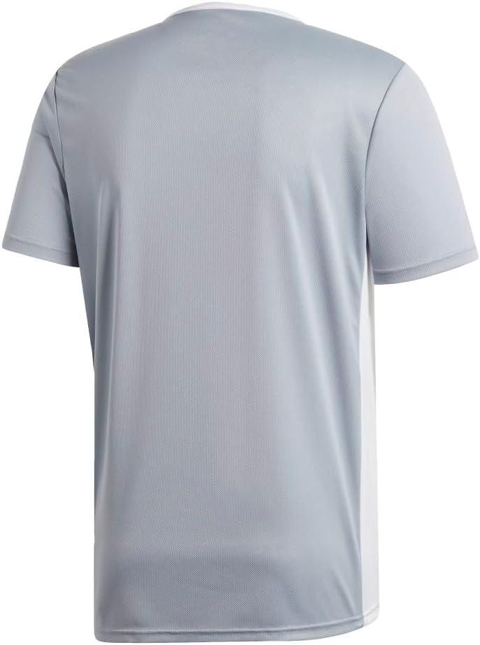 imageadidas Mens Short ENTRADA 18 JSYLight GreyWhite