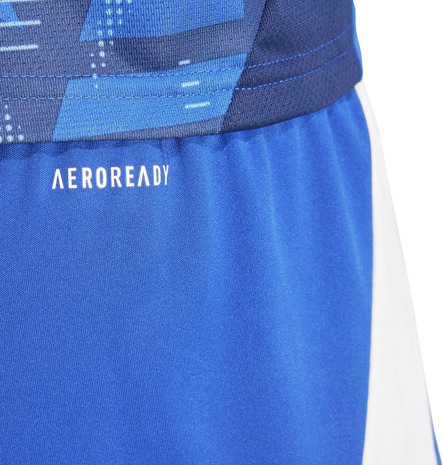 imageadidas Mens Tiro 24 Training ShortsTeam Royal BlueWhite
