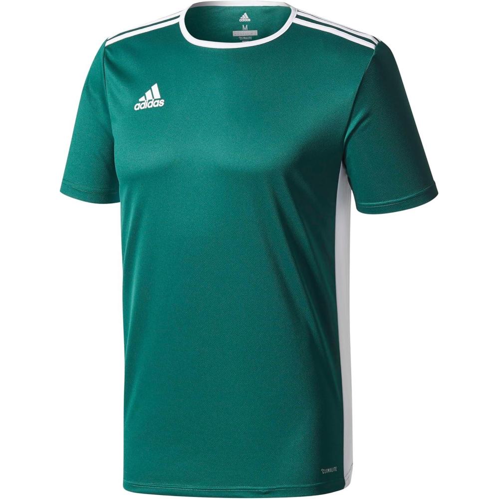 imageadidas Mens Short ENTRADA 18 JSYCollegiate Green