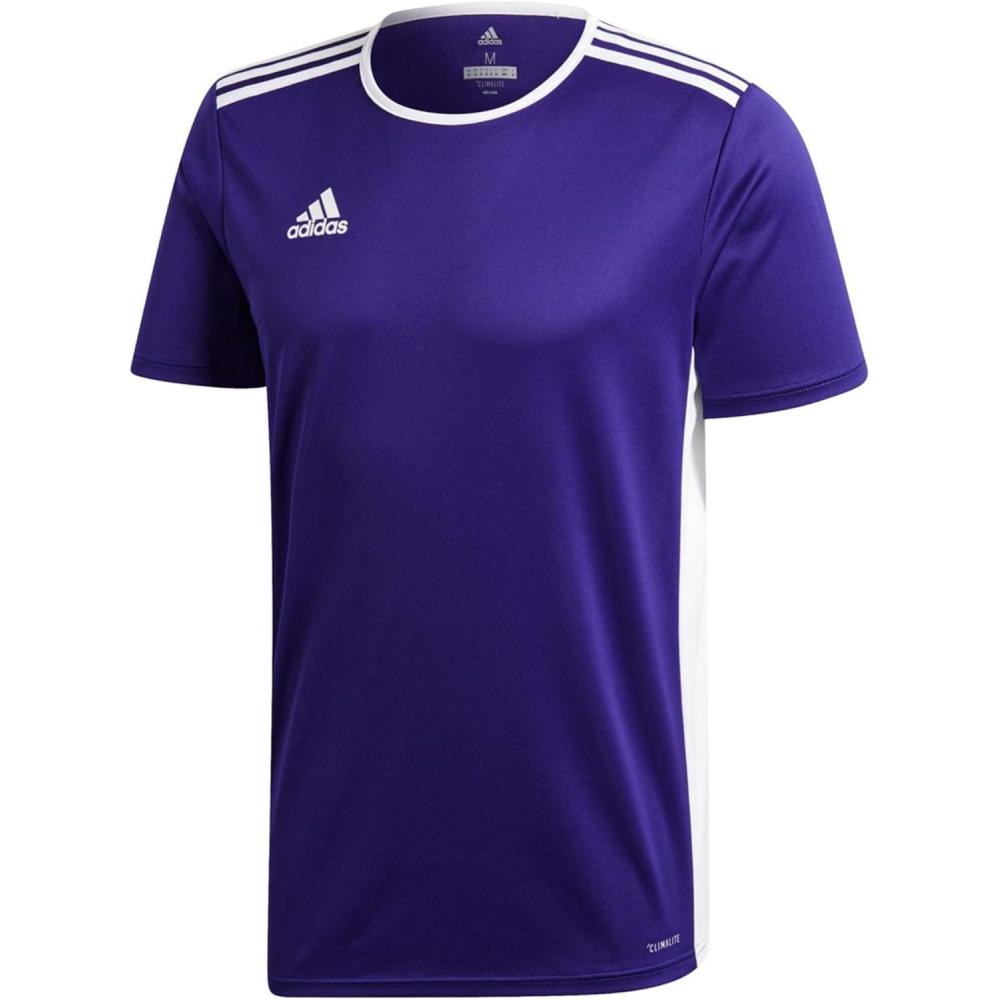 imageadidas Mens Short ENTRADA 18 JSYCollegiate Purple
