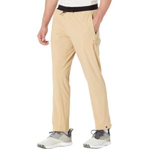 adidas Mens Terrex Liteflex Hiking Pants(Beige Tone/Mesa)