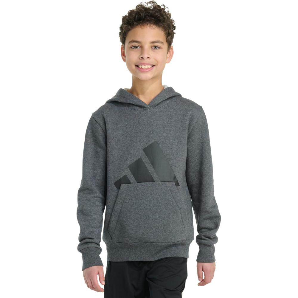 imageadidas Boys Long Sleeve Essential Linear Embroidered Fleece Pullover HoodieDark Grey Heather