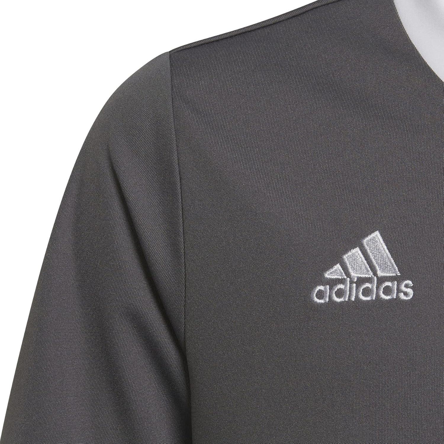 imageadidas Kids Entrada 22 JerseyGrey