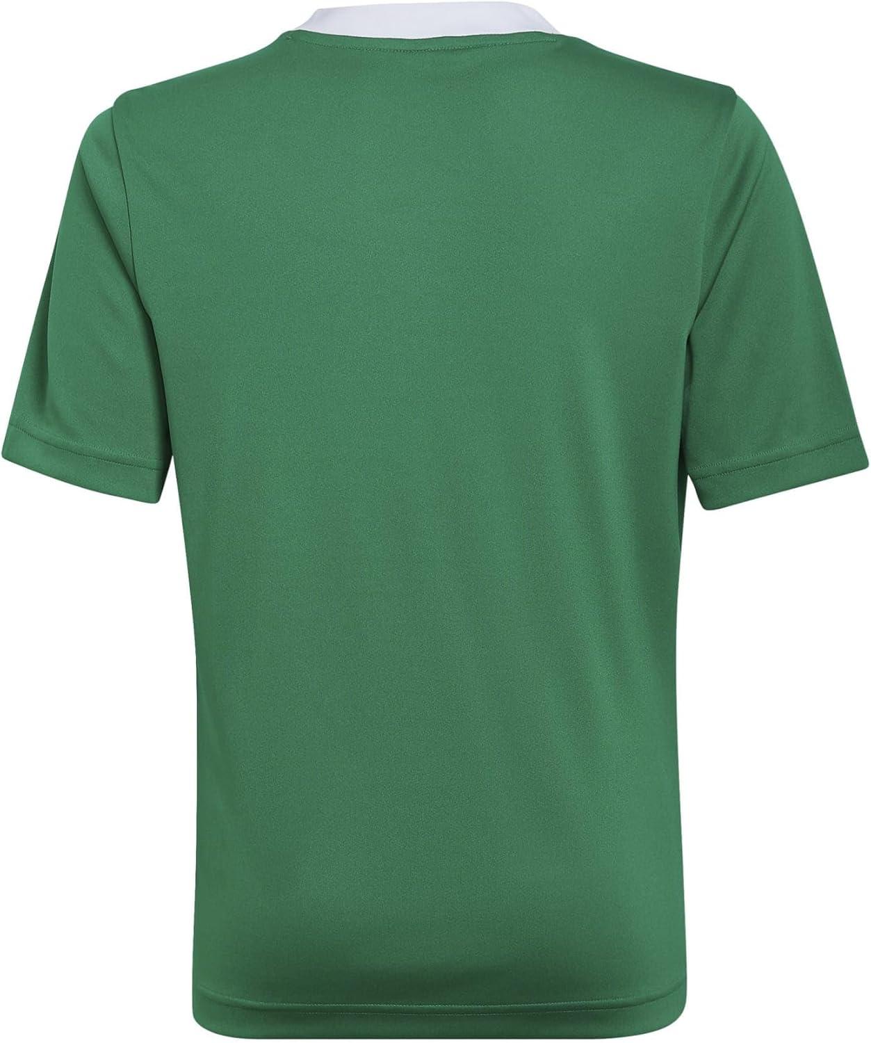 imageadidas Kids Entrada 22 JerseyTeam GreenWhite