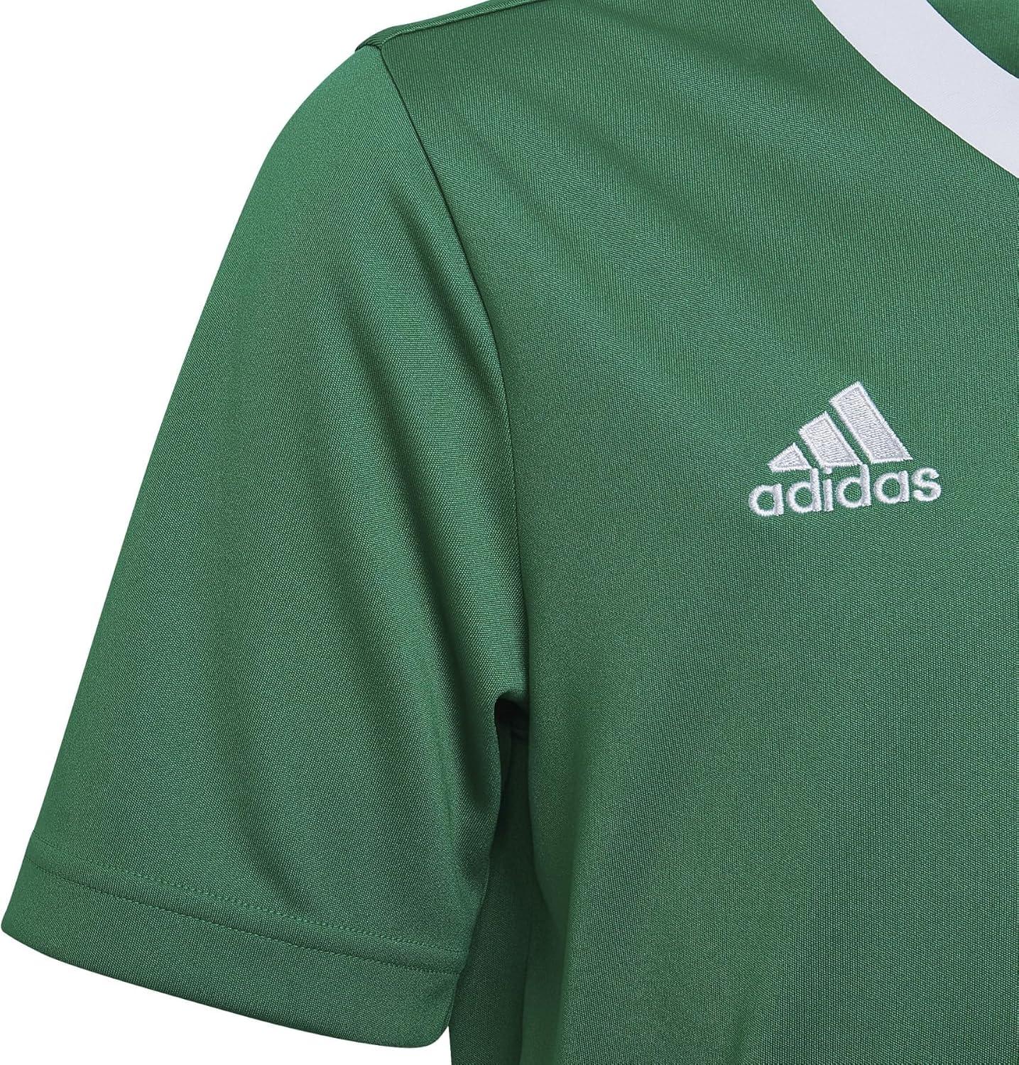 imageadidas Kids Entrada 22 JerseyTeam GreenWhite