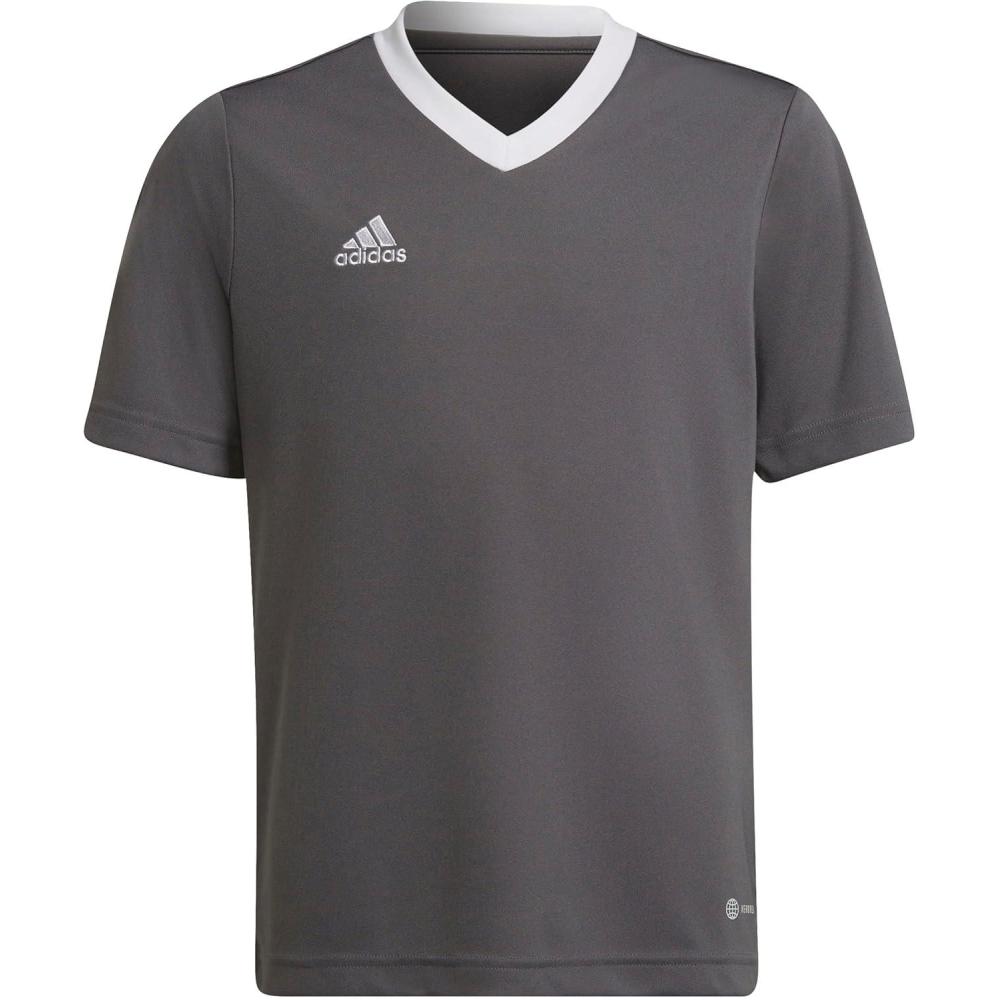 imageadidas Kids Entrada 22 JerseyTeam Grey Four