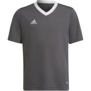 adidas Kids’ Entrada 22 Jersey(Grey)