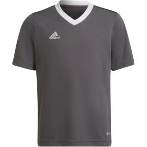 adidas Kids’ Entrada 22 Jersey(Team Grey Four)
