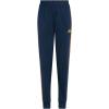 Collegiate Navy With Active Gold