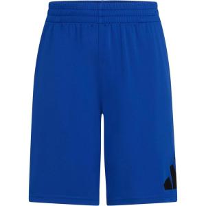 Adidas Boys Essentials Big Logo Short(Team Royal Blue)