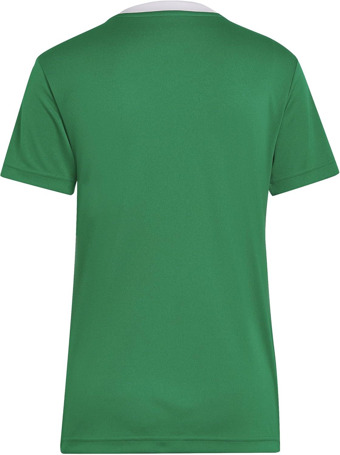 imageadidas Womens Entrada 22 JerseyTeam Green White