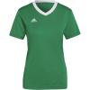Team Green/White