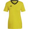 Team Yellow / Black