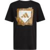Black Home Plate