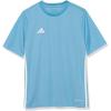 Team Light Blue/White
