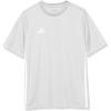 Team Light Grey/White