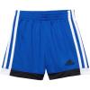 Team Royal Blue
