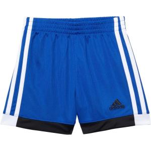 Adidas Boys Elastic Waistband Winner Short(Team Royal Blue)