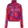 Bahia Magenta/Maroon
