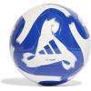 White/royal blue