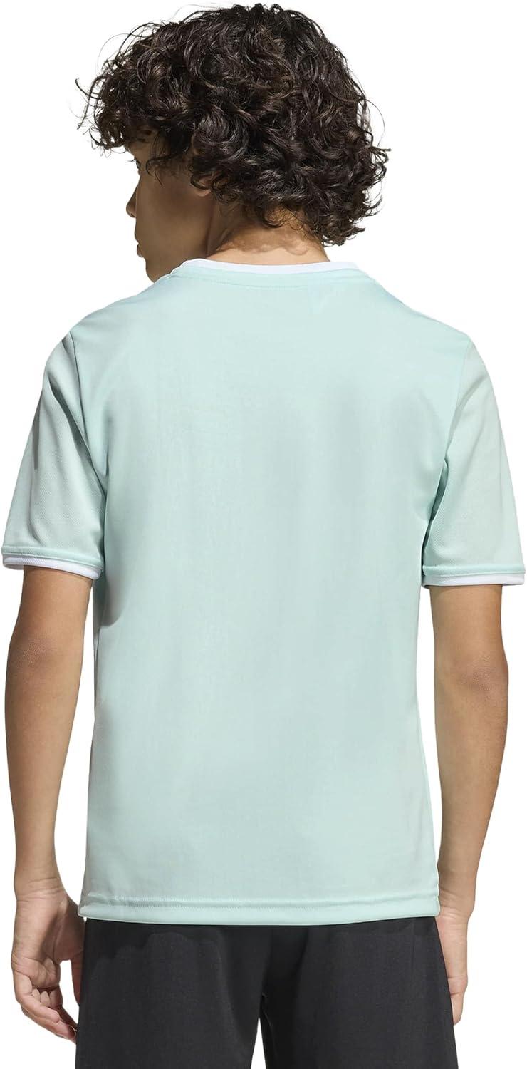 image:imageadidas Boys Entrada26 JerseyHalo MintWhite