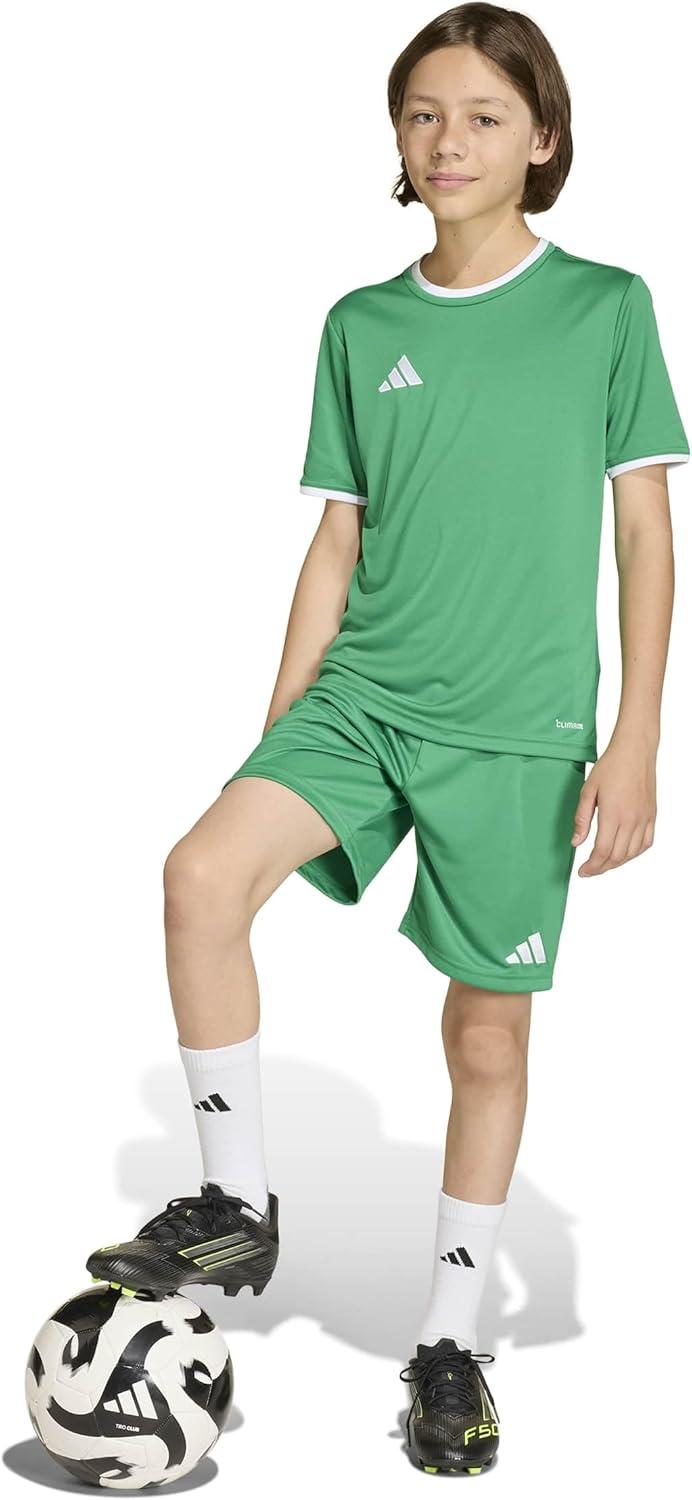 image:imageadidas Boys Entrada26 JerseyTeam GreenWhite