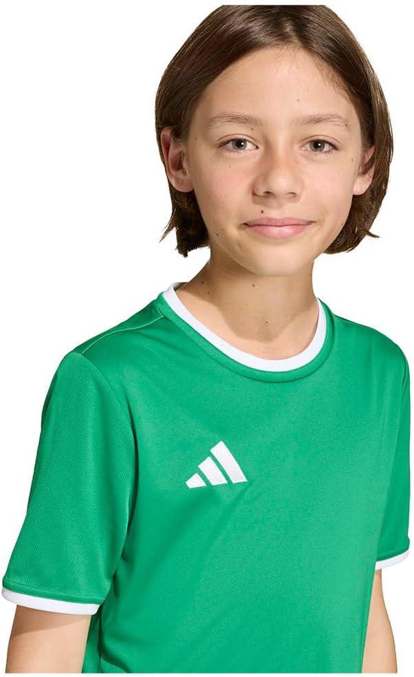 image:imageadidas Boys Entrada26 JerseyTeam GreenWhite