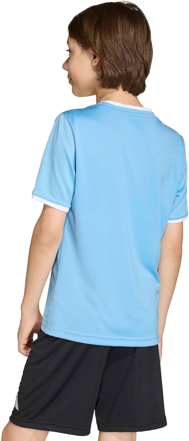 image:imageadidas Boys Entrada26 JerseyTeam Light BlueWhite