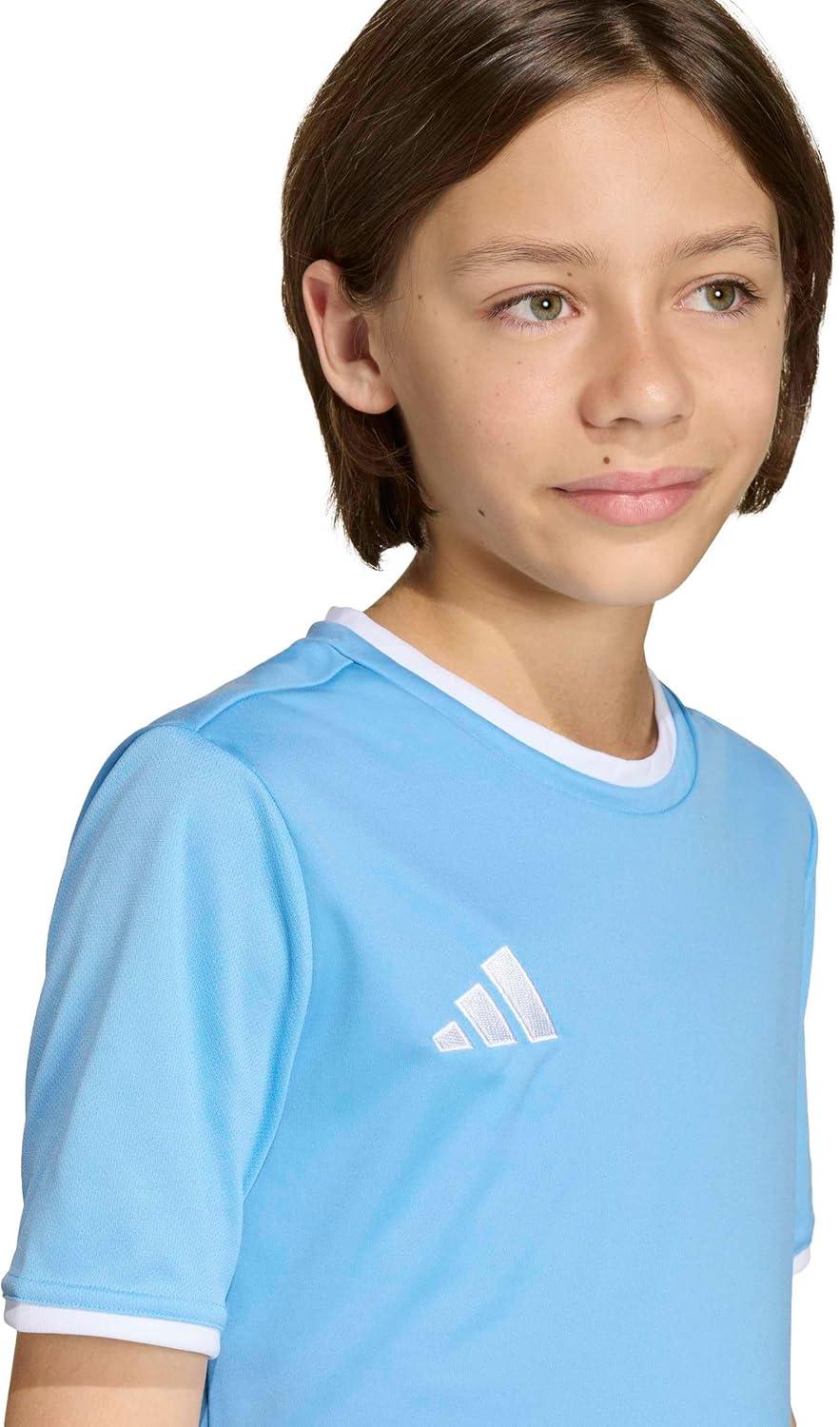 image:imageadidas Boys Entrada26 JerseyTeam Light BlueWhite