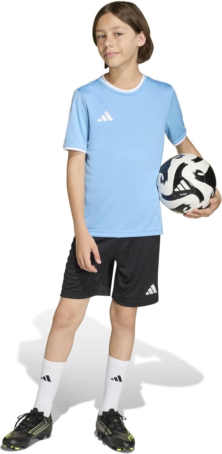 image:imageadidas Boys Entrada26 JerseyTeam Light BlueWhite