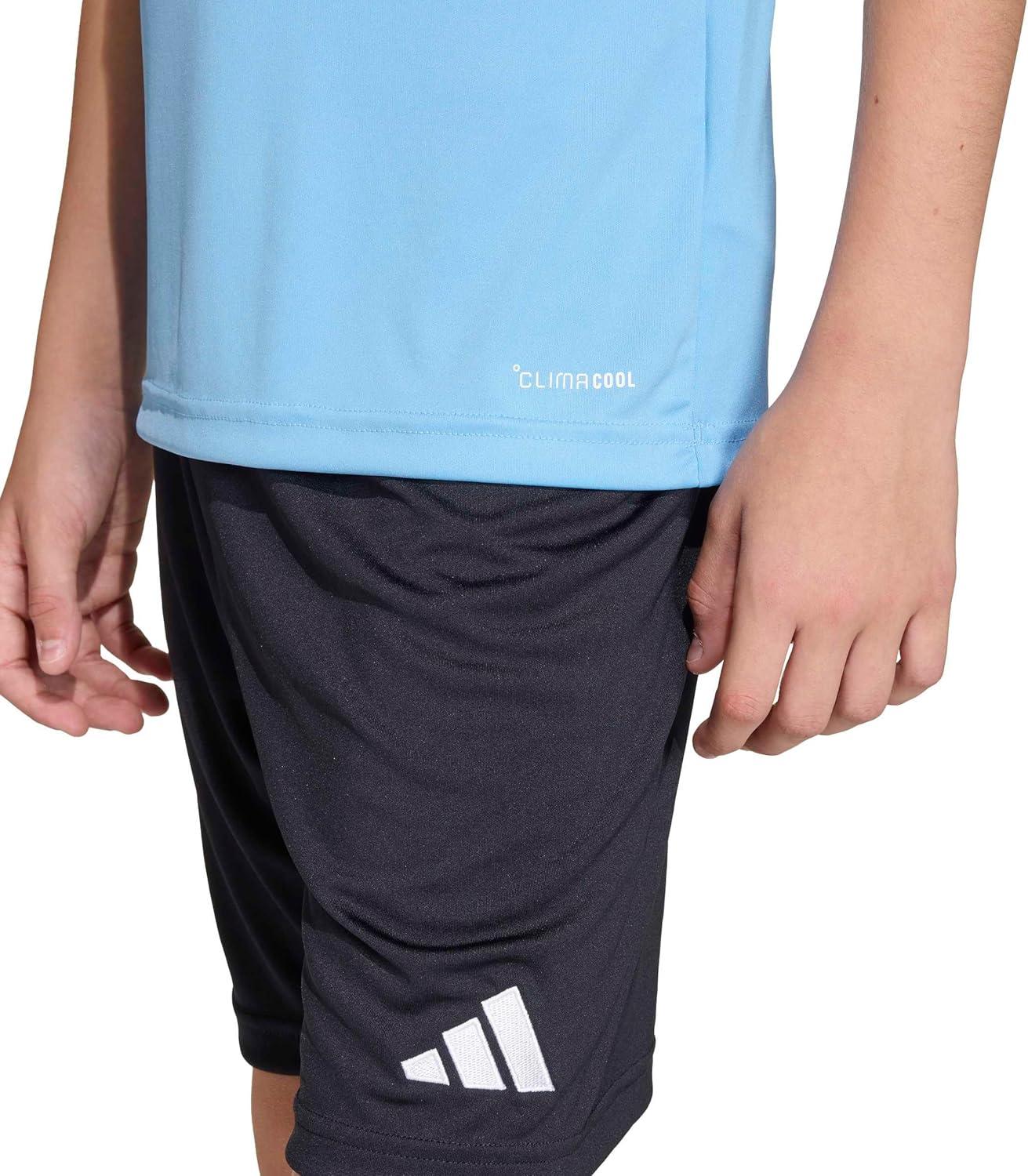 image:imageadidas Boys Entrada26 JerseyTeam Light BlueWhite