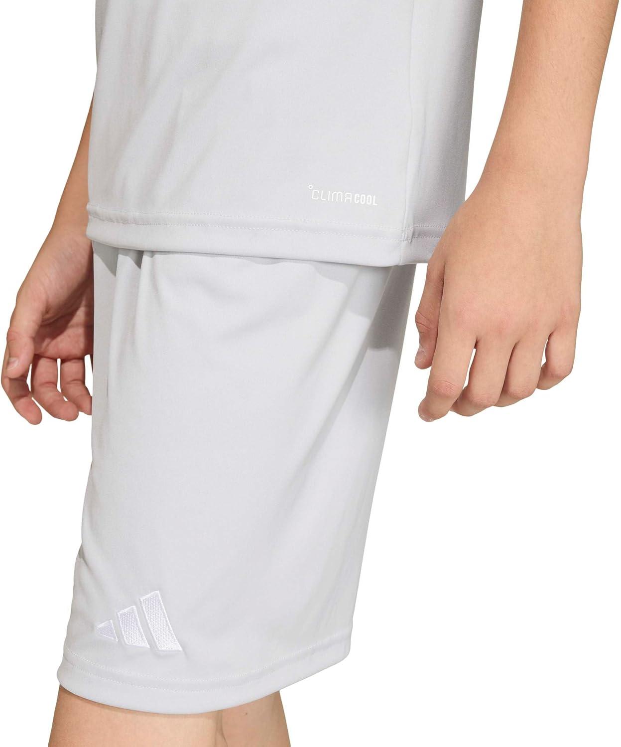 image:imageadidas Boys Entrada26 JerseyTeam Light GreyWhite