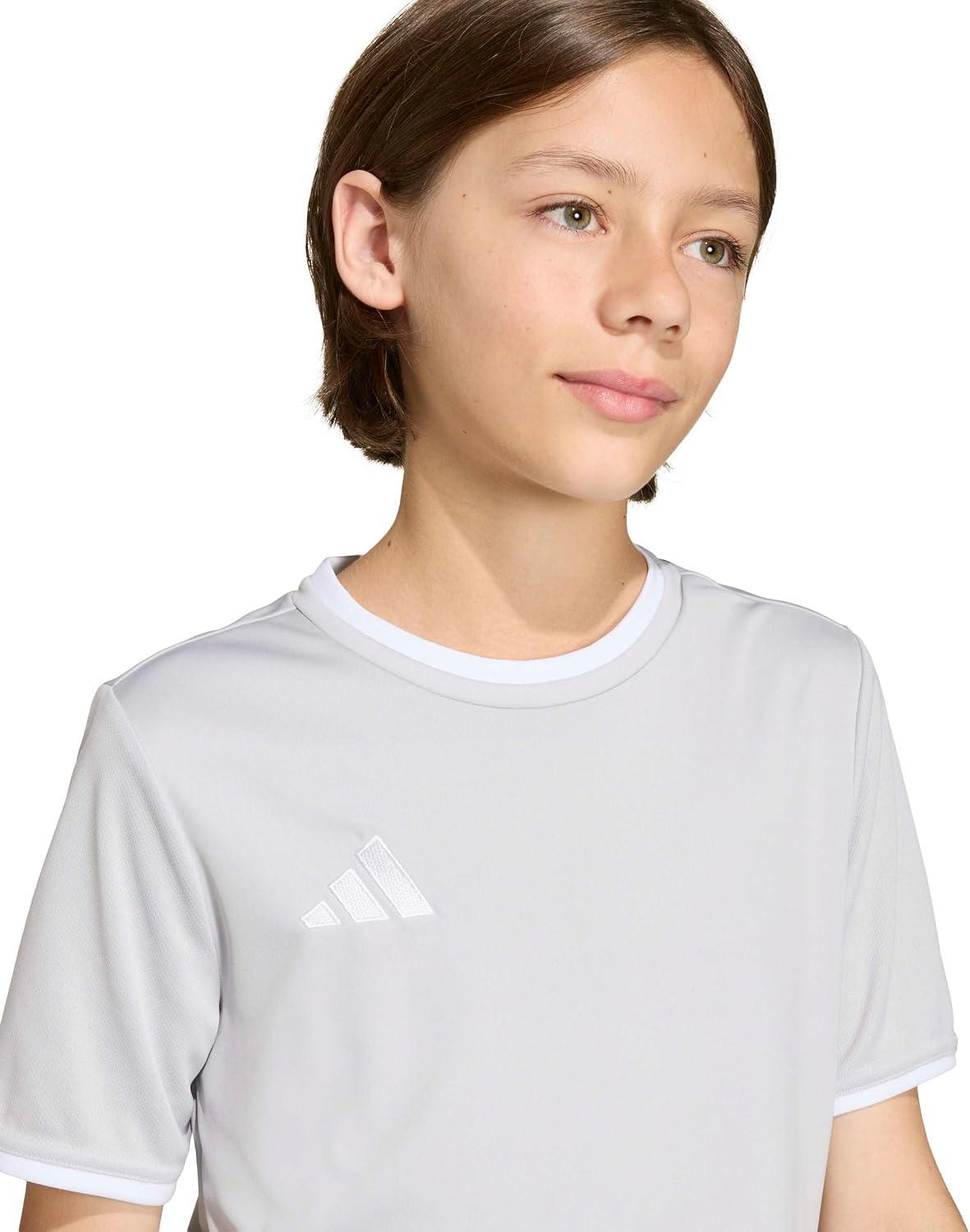 image:imageadidas Boys Entrada26 JerseyTeam Light GreyWhite