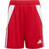 Team Power Red/White