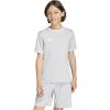 Team Light Grey/White