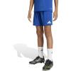 Team Royal Blue/White